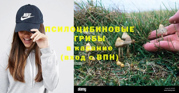 дмт Лихославль