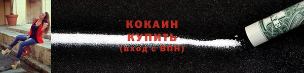 мдпв Майский