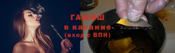 твердый Магас