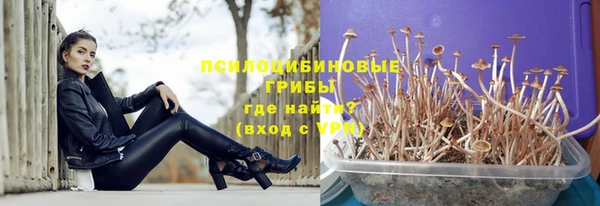 мдпв Майский