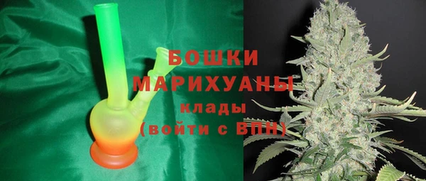 мдпв Майский
