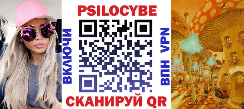 цены наркотик  Мезень  Псилоцибиновые грибы Psilocybe 